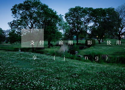 支付寶逾期會影響使用嗎？知乎用戶分享經(jīng)驗與解決方案